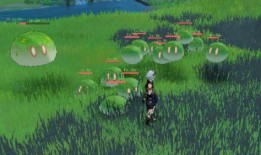 须弥爆料视频大全,揭秘神秘世界背后的精彩故事