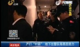 潍坊爆料视频,真实事件引发网友热议